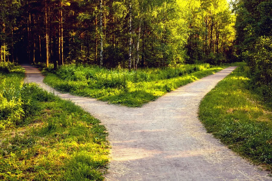 NVL stands at a crossroads