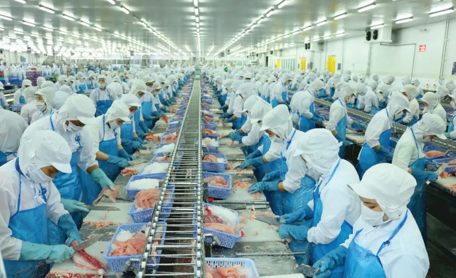 Vietnamese seafood processing — VHC has been absorbing tariff risk progressively over several quarters