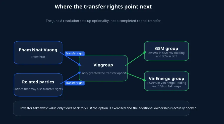 How Vingroup's transfer rights are structured