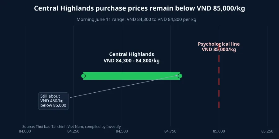 Central Highlands purchase prices versus the VND 85,000 line