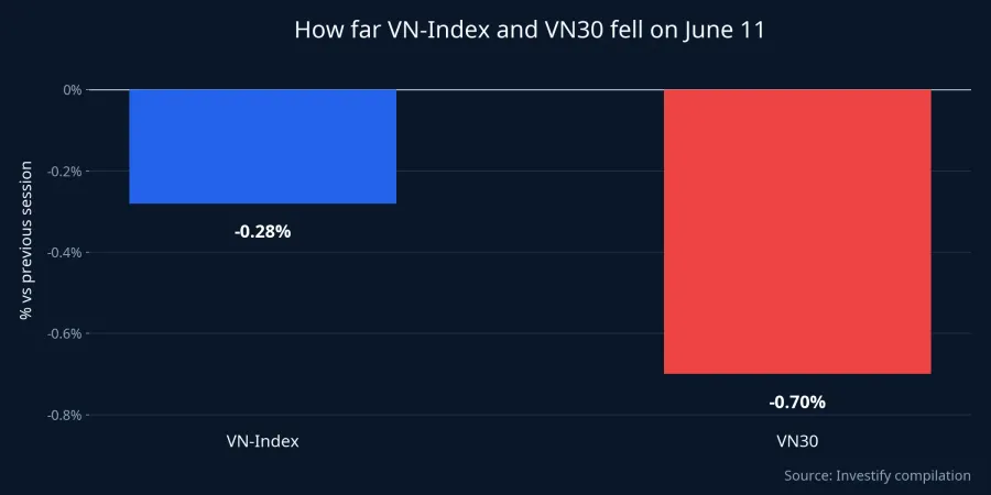How far VN-Index and VN30 fell on June 11