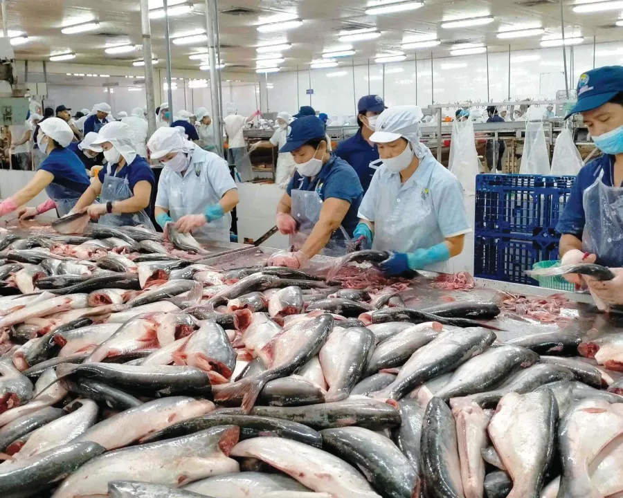 Seafood exporters benefit when documentation holds up in repeated reviews