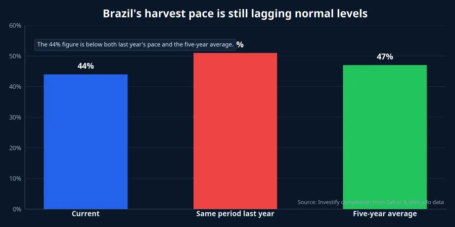 Brazil harvest pace