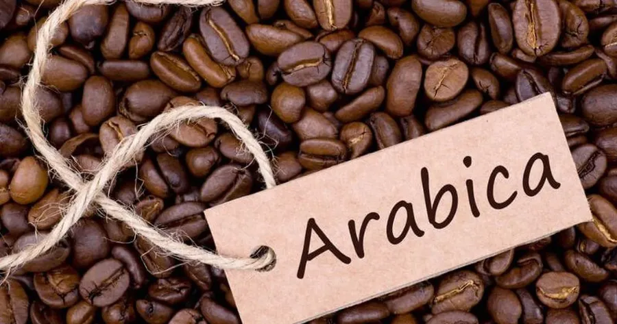 Arabica beans