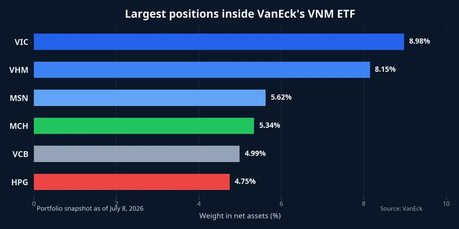 Largest positions inside VanEck's VNM ETF