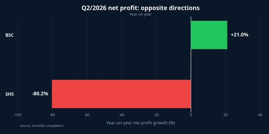 Q2 net profit growth at BSC and SHS