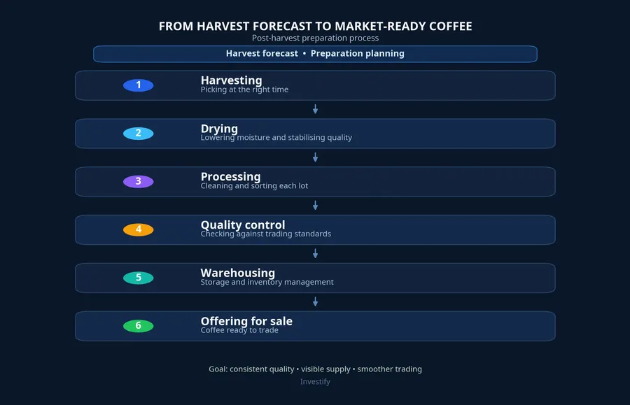 From harvest forecast to market-ready coffee