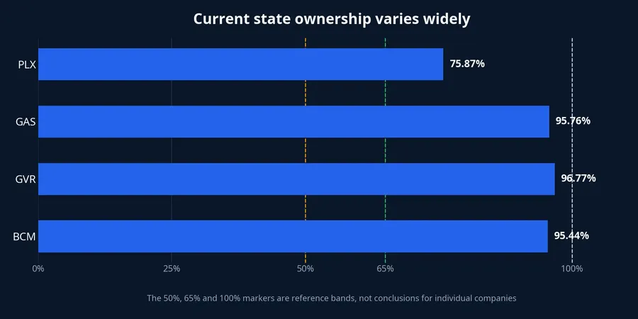 Current state ownership at the four companies