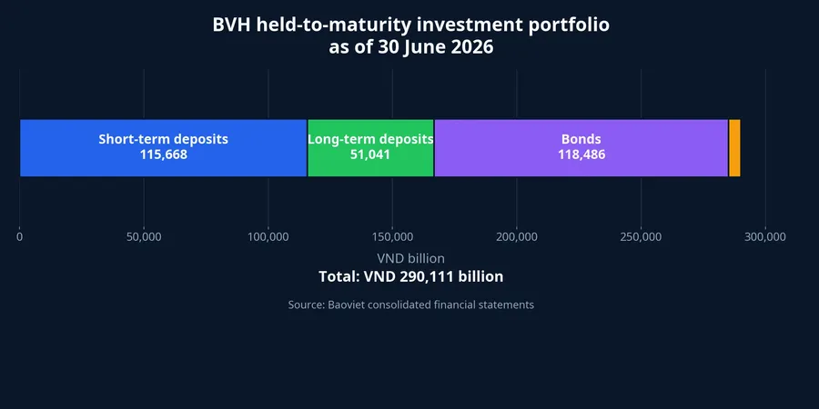 BVH held-to-maturity investment portfolio