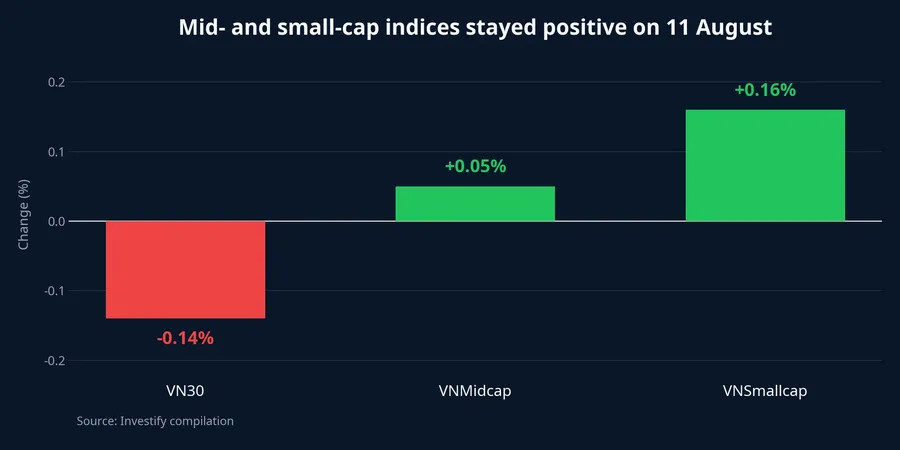 Performance across market-cap groups on 11 August