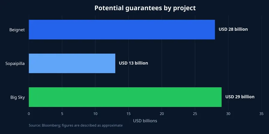 Potential guarantees by project