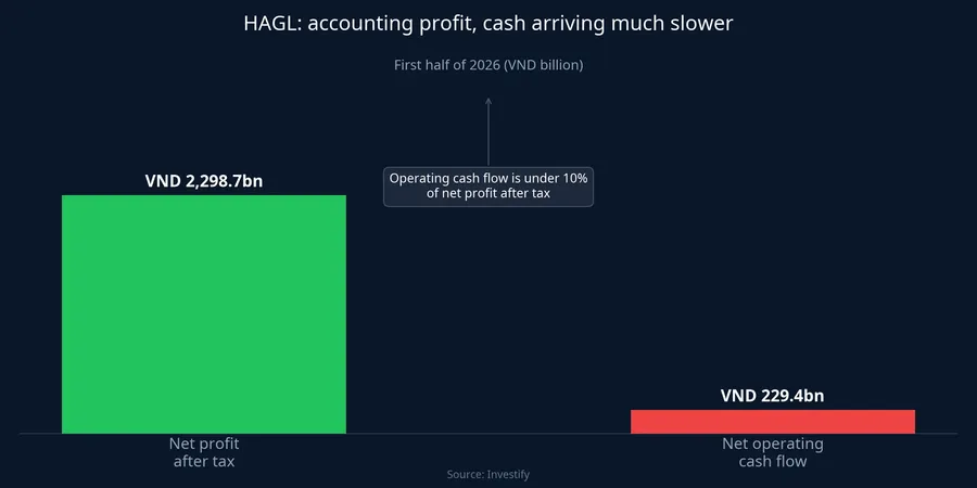 HAGL: accounting profit, cash arriving much slower