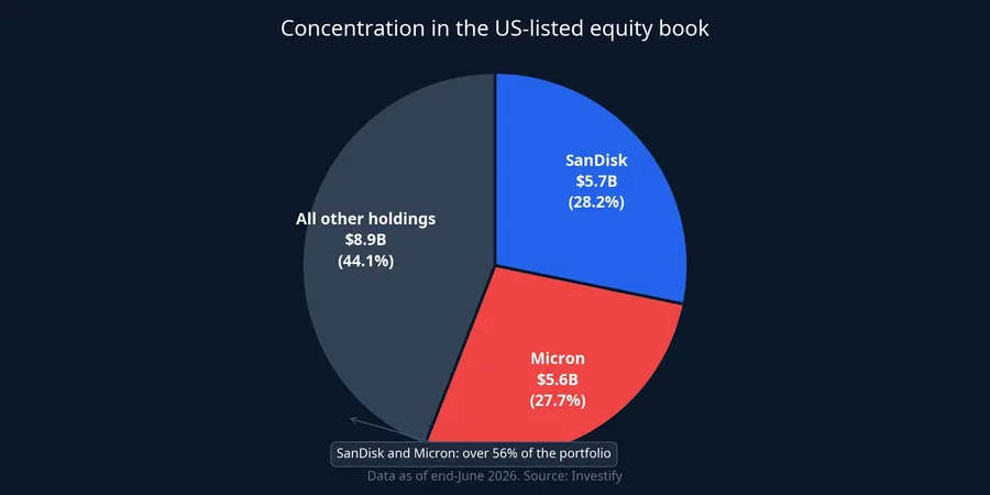 Chart showing portfolio concentration: SanDisk and Micron make up more than 56%
