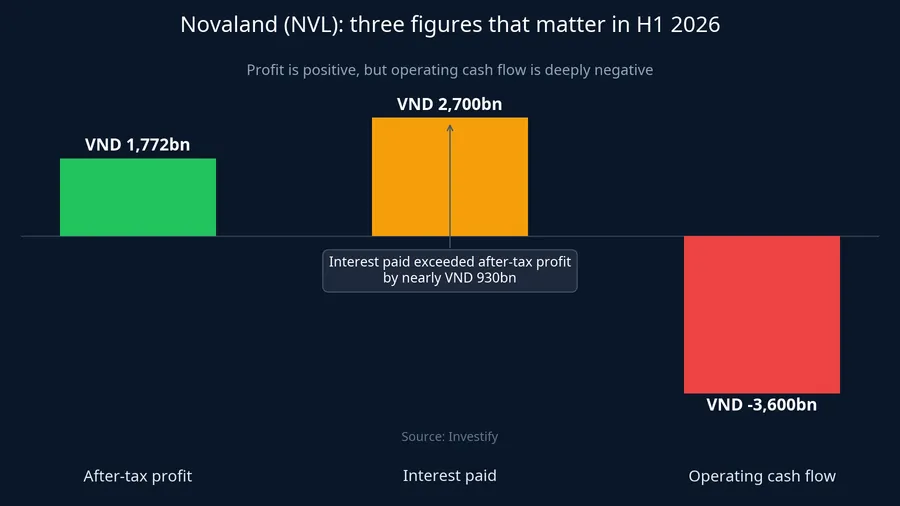 Three figures that matter for Novaland in H1 2026