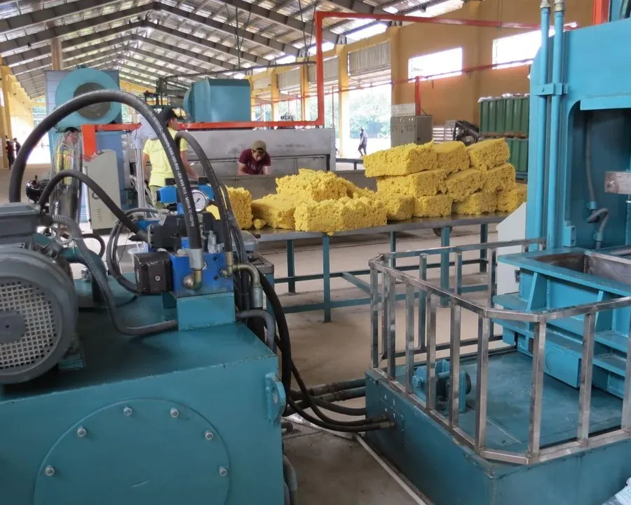 Rubber processing plant with bales awaiting export