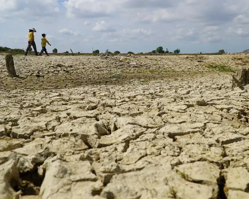 Cracked, drought-dry rice field illustrating El Nino risk
