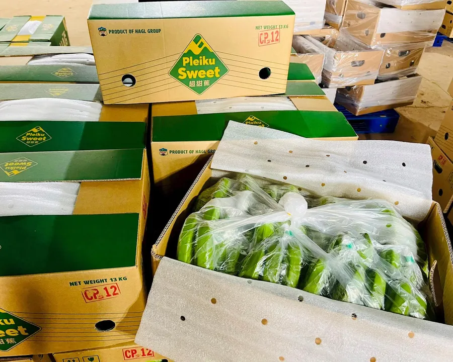 Hoang Anh Gia Lai's bananas and durian packaged for export