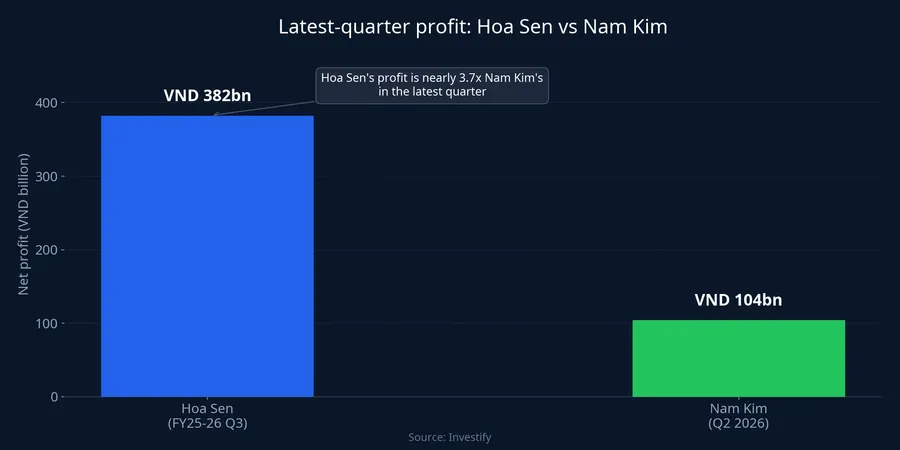 Latest-quarter profit: Hoa Sen vs Nam Kim