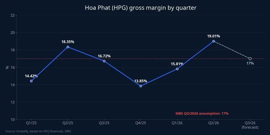 Hoa Phat gross margin by quarter