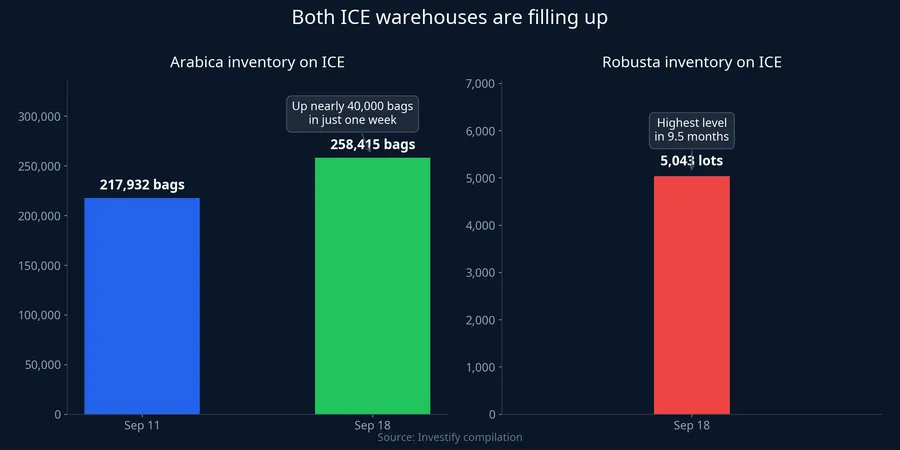 Arabica and robusta inventories on ICE both rising