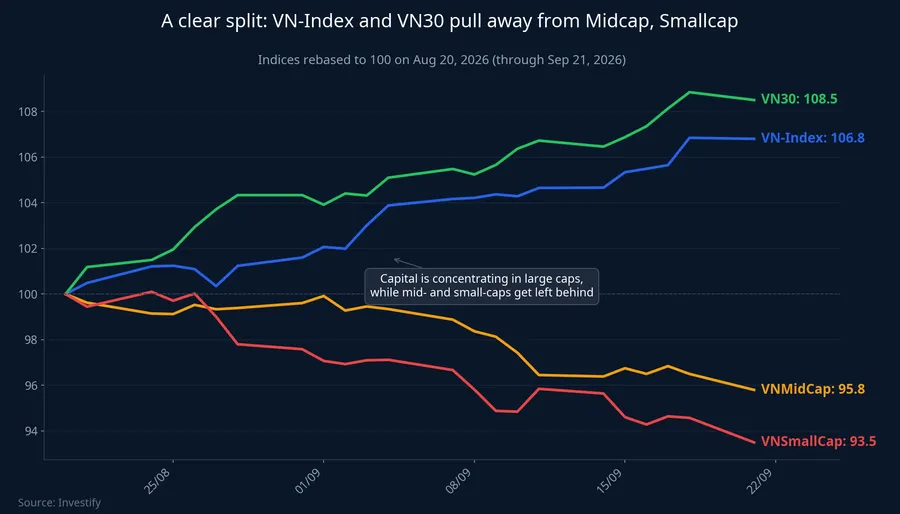 VN-Index and VN30 pull away from Midcap, Smallcap