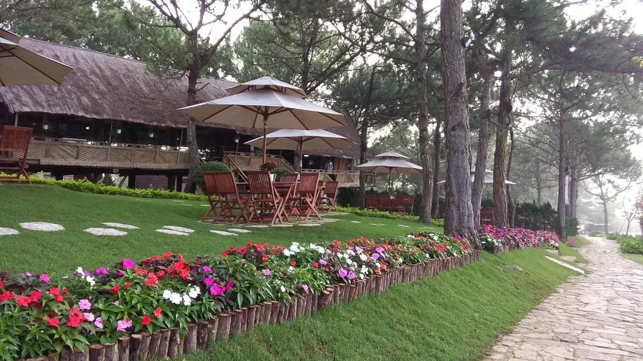 A tourist site among the pine forests of Da Lat