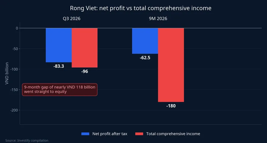Rong Viet: net profit vs total comprehensive income