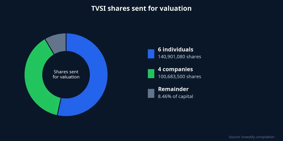 Breakdown of TVSI shares sent for valuation