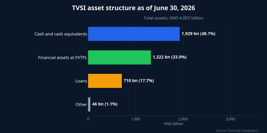 TVSI asset structure as of June 30, 2026