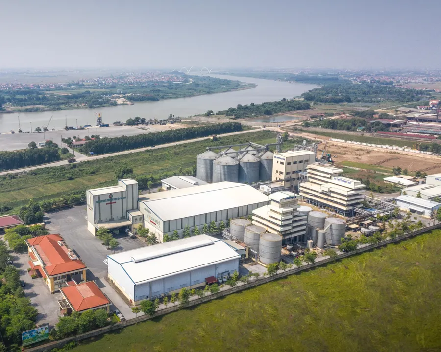 Dabaco's feed and vegetable oil complex