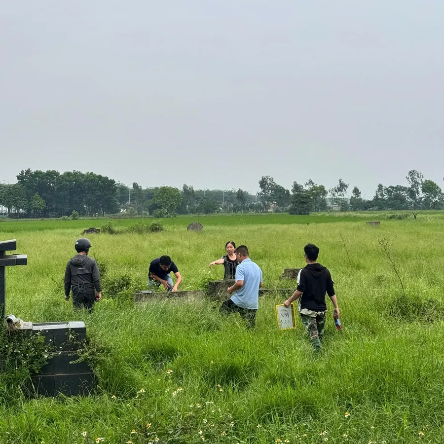 Survey team on farmland in an area being reclaimed for the project