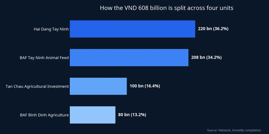 How the VND 608 billion is split across four units