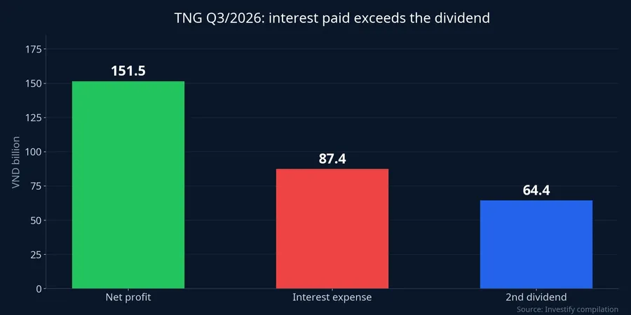 TNG's net profit, interest expense and second dividend compared