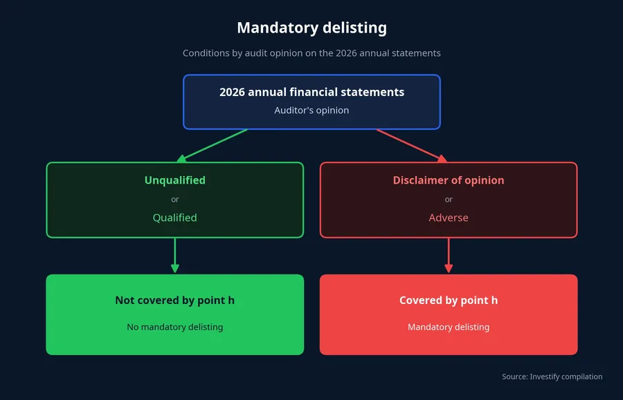 Two branches of the 2026 annual audit opinion and their consequences under point h