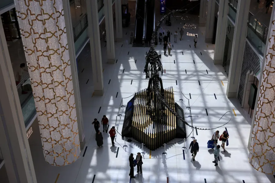 Dubai Mall với lượng khách thưa thớt