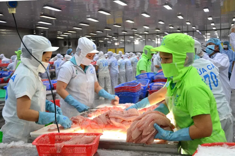 Nhà máy chế biến thủy sản Việt Nam, dây chuyền đóng gói xuất khẩu