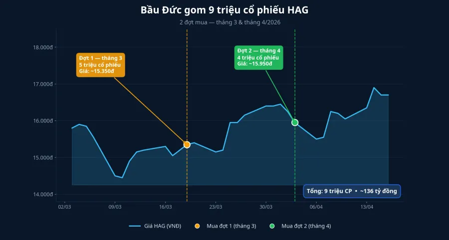 Biểu đồ hai đợt mua cổ phiếu HAG của bầu Đức trong tháng 3 và tháng 4/2026