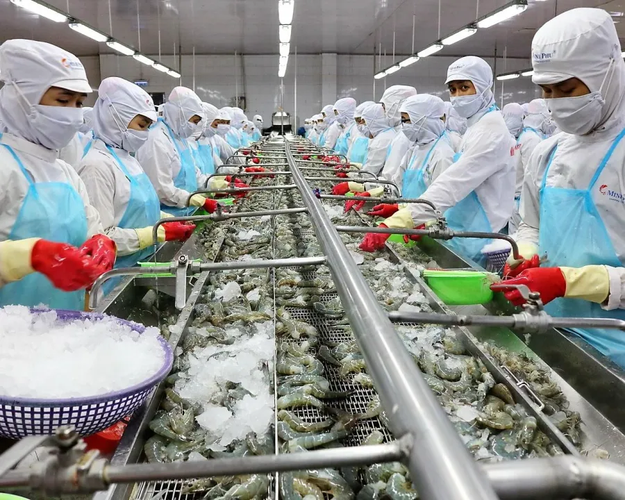 MPC Posts 12x Profit Surge: Operating Leverage and a VND 5,500B Inventory