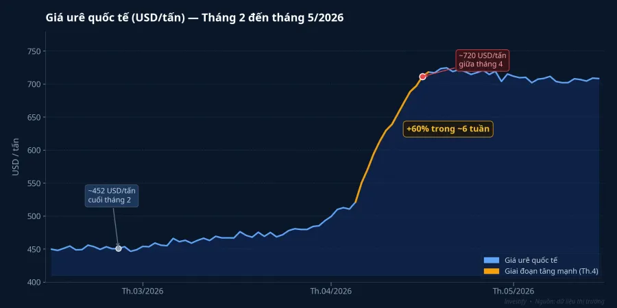 Giá urê quốc tế tăng khoảng 60% trong tám tuần đầu năm 2026