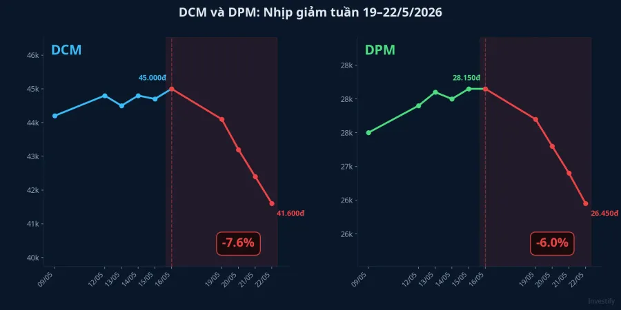 DCM và DPM cùng điều chỉnh trong tuần 19-22/5/2026, song hành với nhịp giảm của giá urê