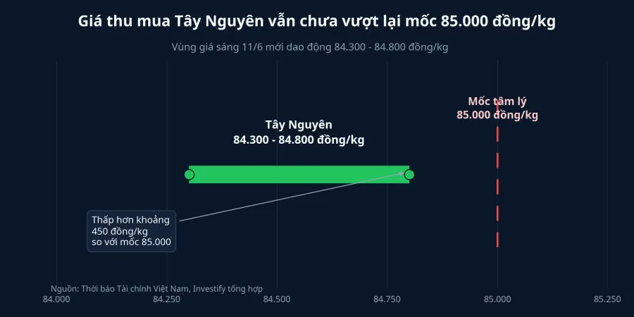 Giá thu mua Tây Nguyên so với mốc 85.000 đồng/kg