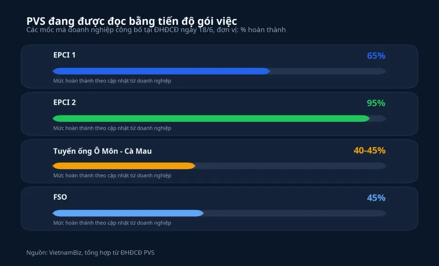 Tiến độ các gói việc PVS