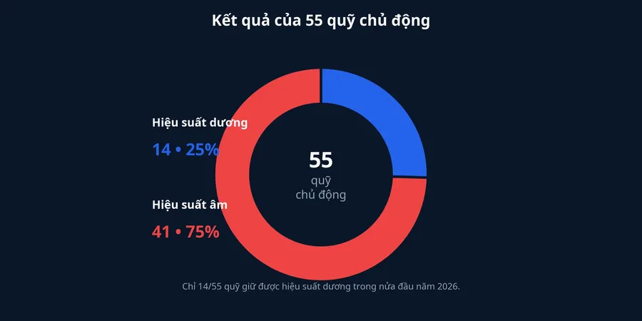 Kết quả của 55 quỹ chủ động