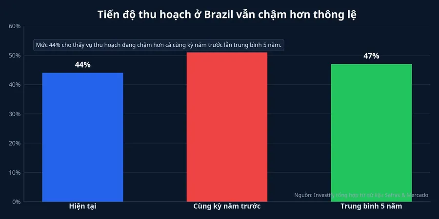 Tiến độ thu hoạch Brazil