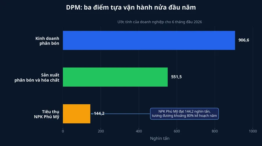 Sản lượng nửa đầu năm của DPM
