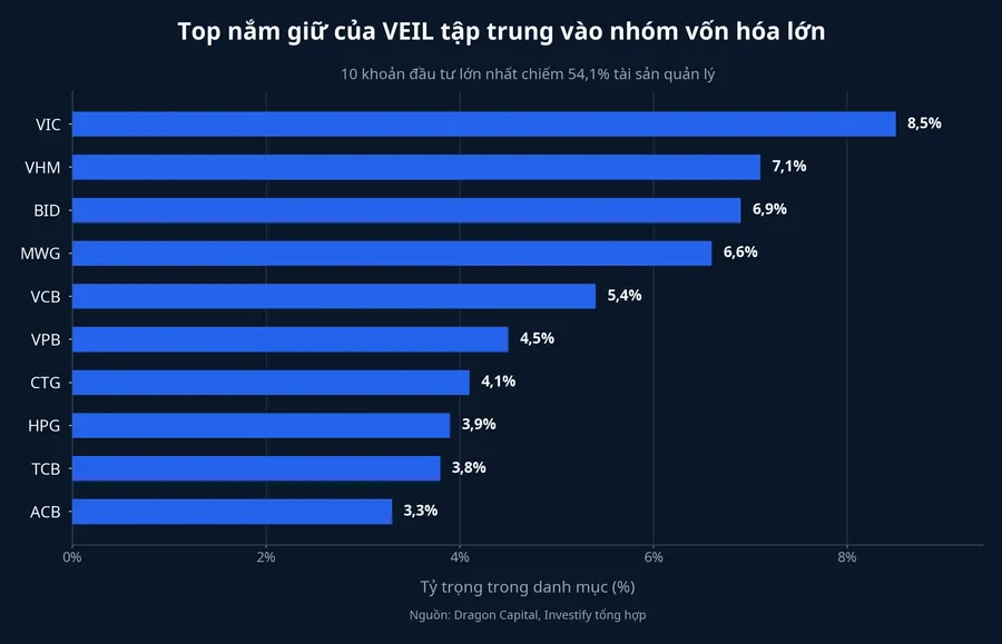 Tỷ trọng các khoản nắm giữ lớn nhất của VEIL