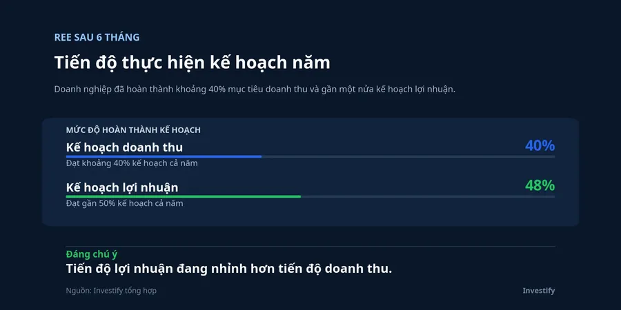 Tiến độ thực hiện kế hoạch năm của REE