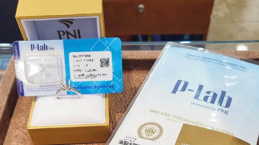 P-Lab và PNJ: Đừng suy diễn từ một quyết định khởi tố