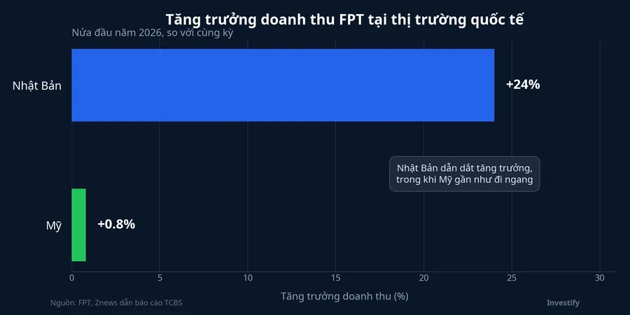 Tăng trưởng doanh thu theo thị trường