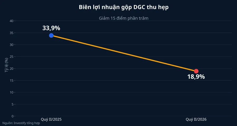Biên lợi nhuận gộp DGC quý II